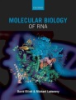 Molecular_biology_of_RNA