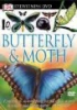 Butterfly___moth