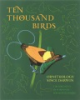 Ten_Thousand_Birds
