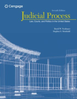 Judicial_process